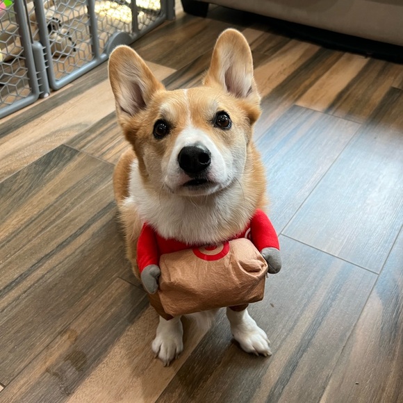 🚨 TIFF IS LIVE 🚨 - Picture 11 of 11